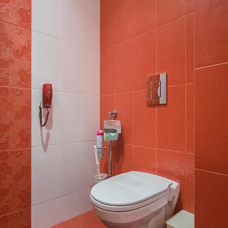 Apartment Vip